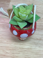 Hanging Car Succulent