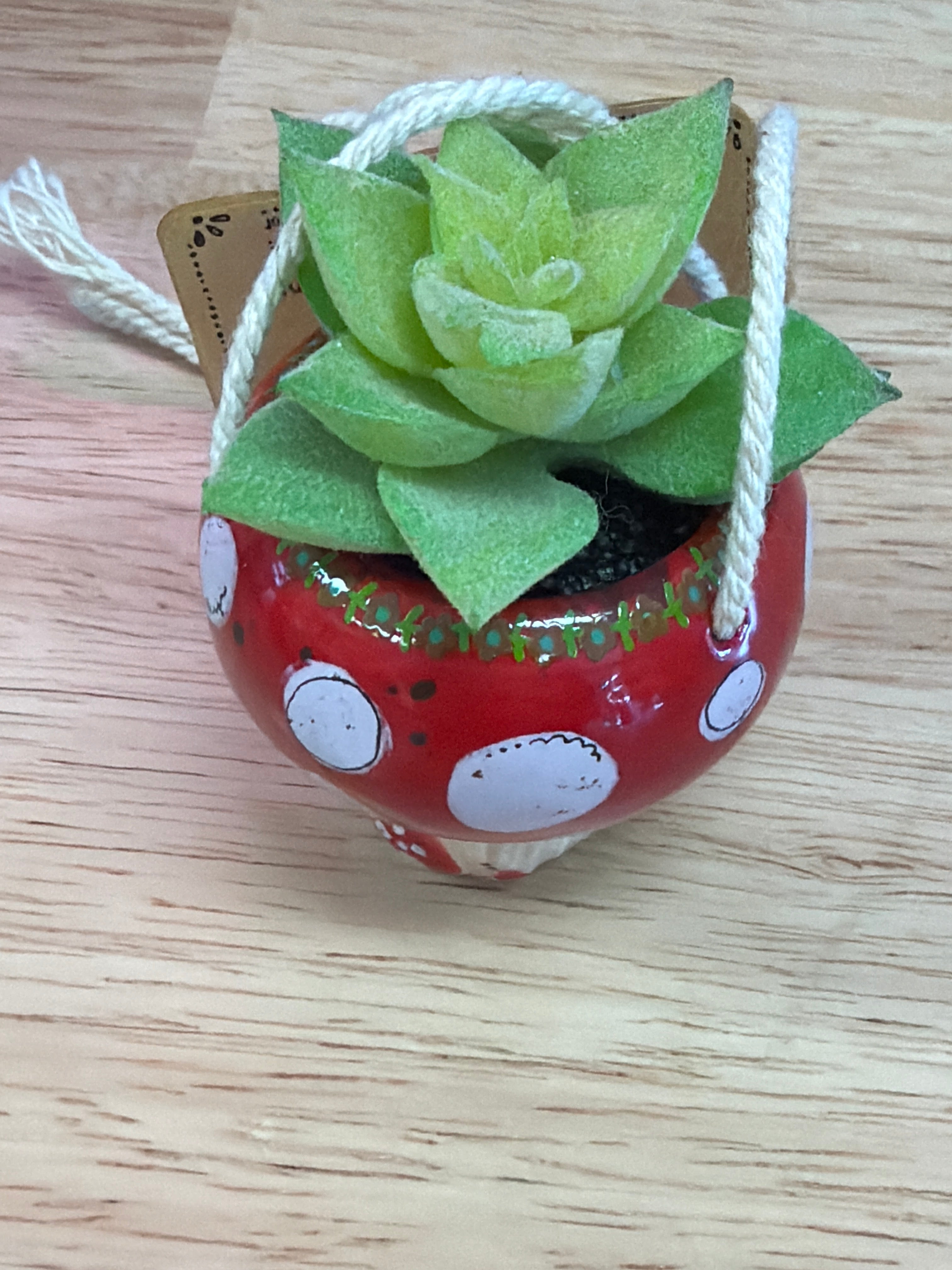Hanging Car Succulent