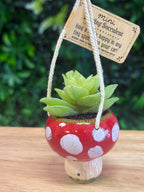Hanging Car Succulent