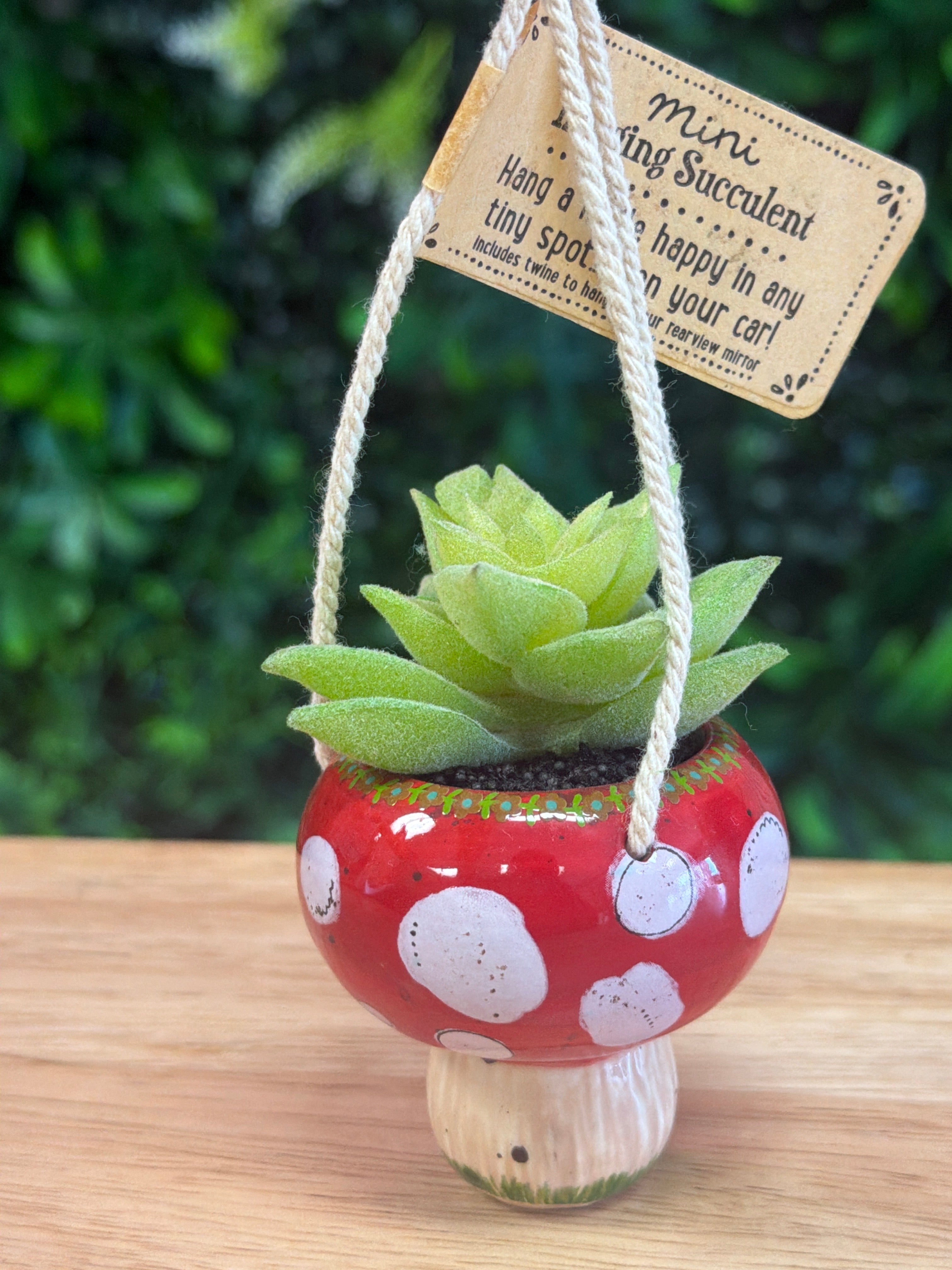 Hanging Car Succulent