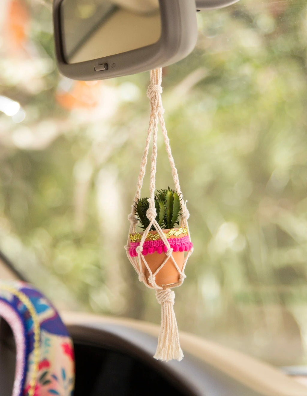 Macrame hanging car succulent