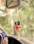 Macrame hanging car succulent