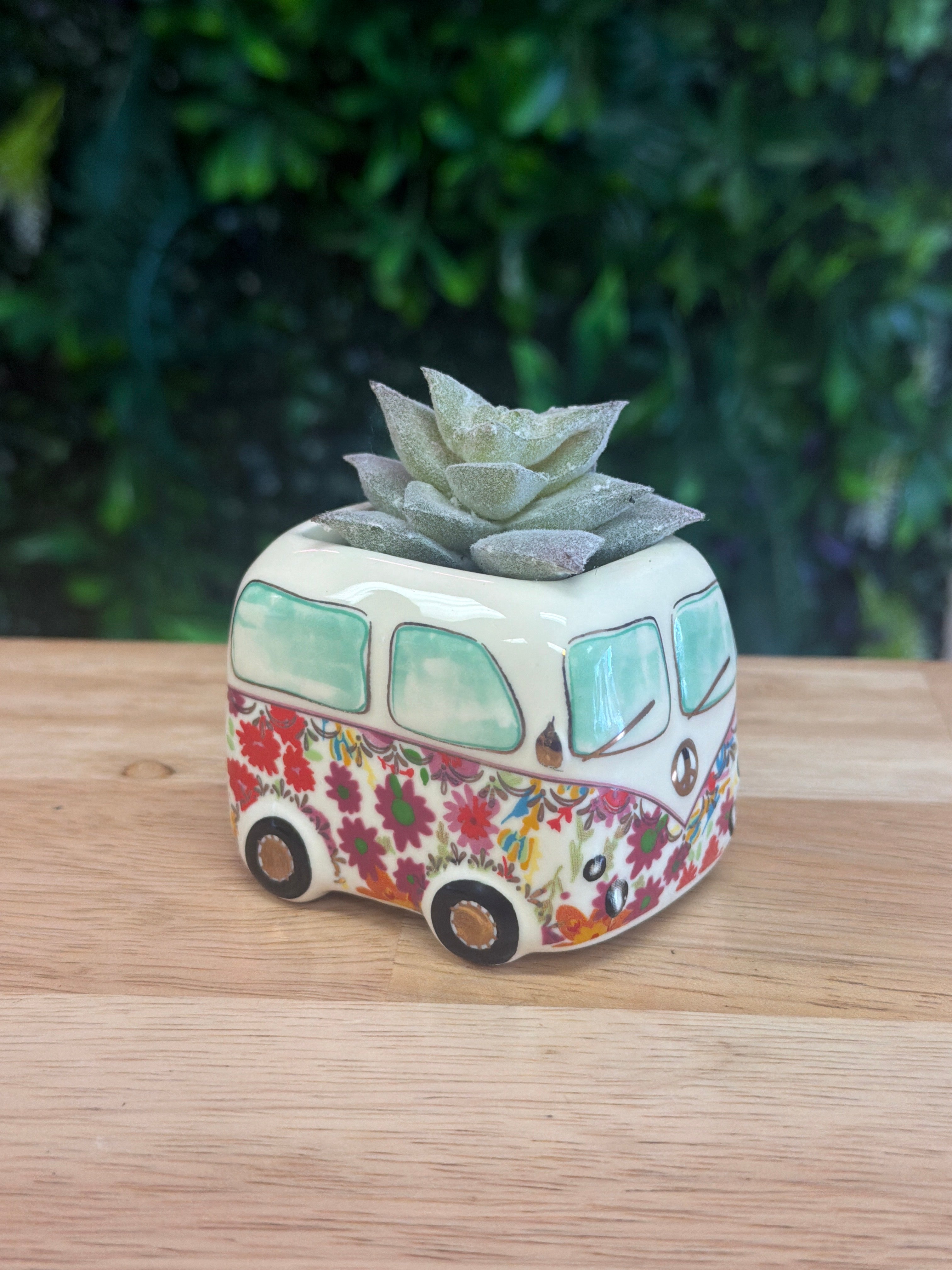 Faux Succulent Van