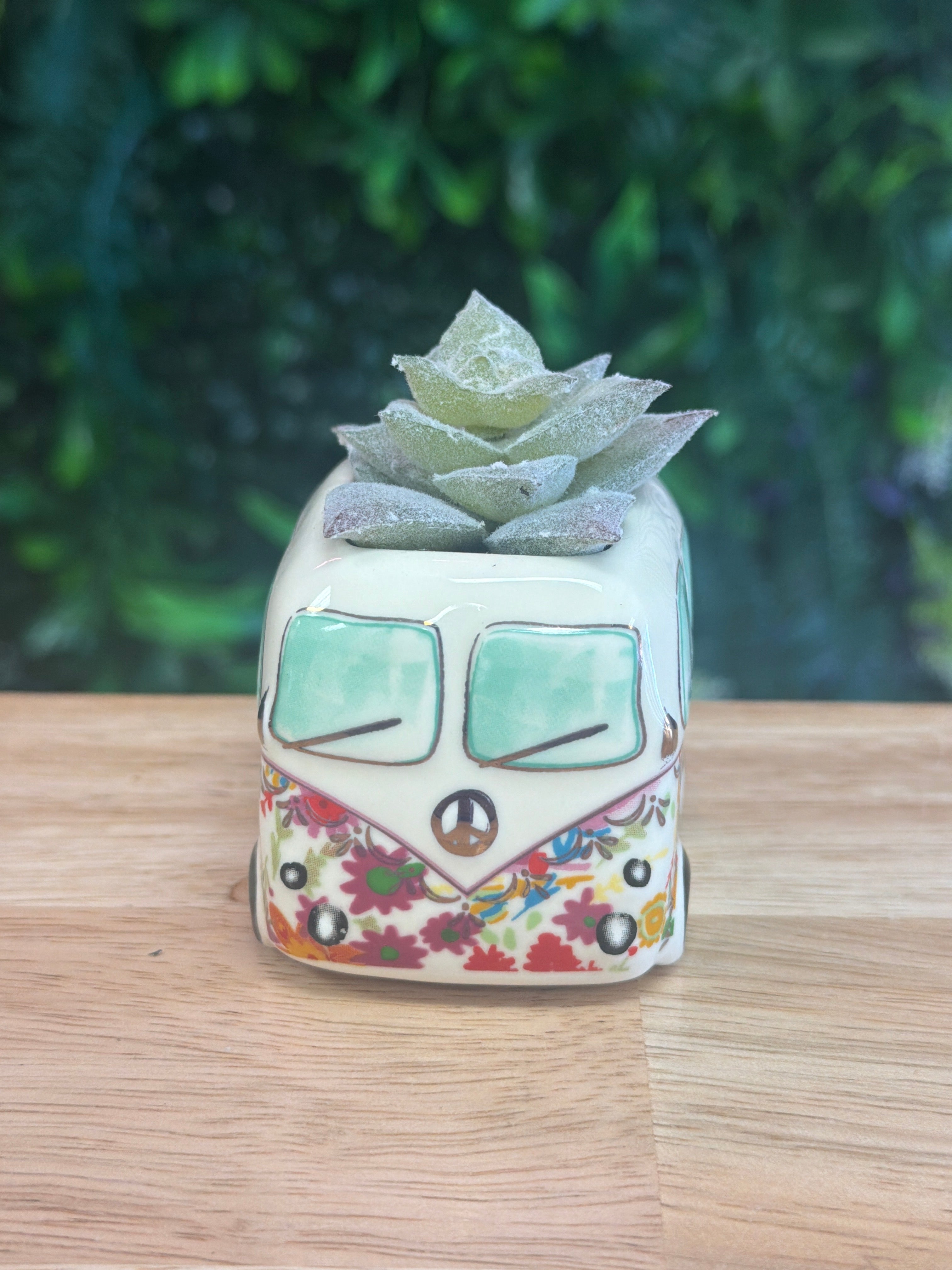 Faux Succulent Van