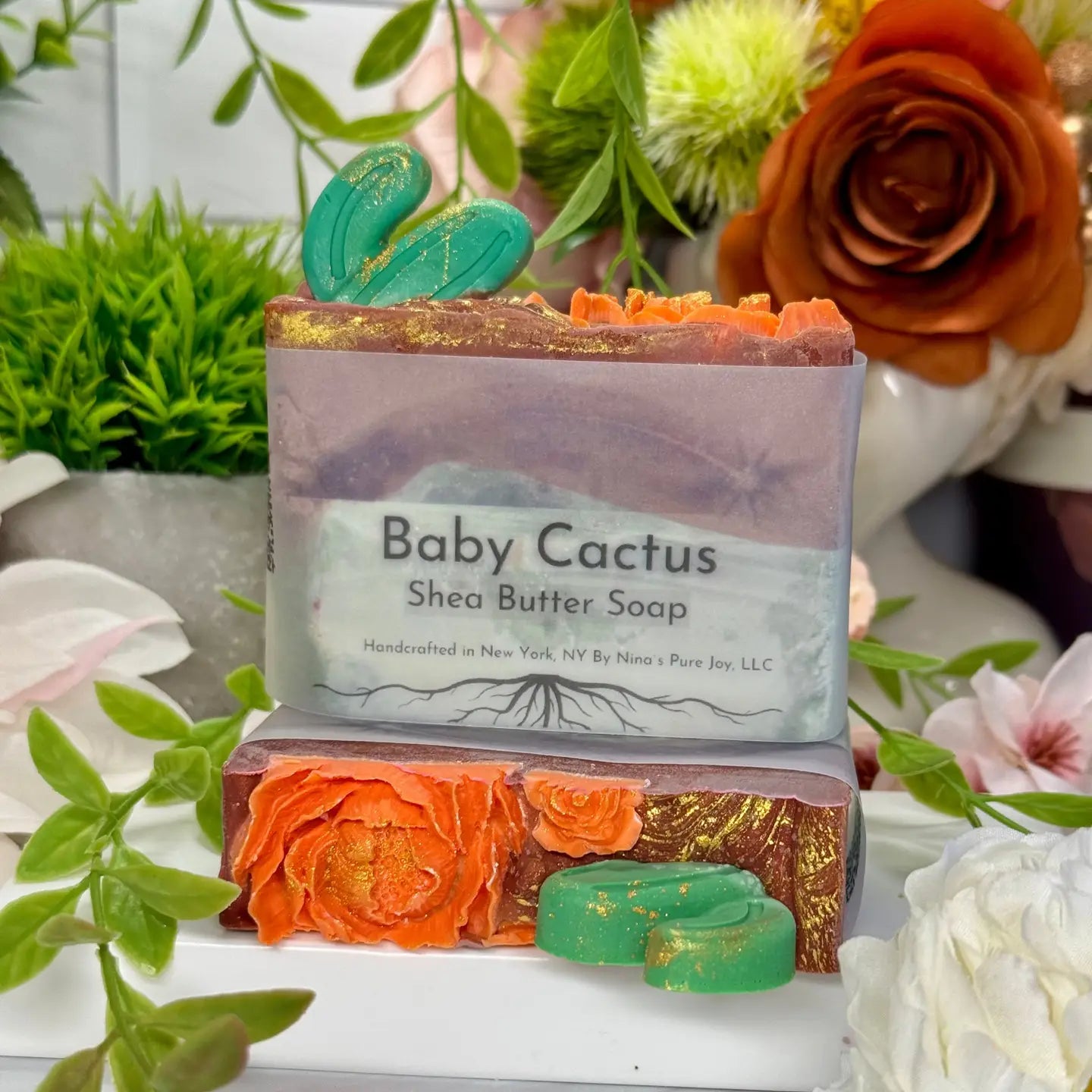 Baby Cactus