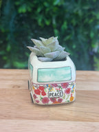 Faux Succulent Van