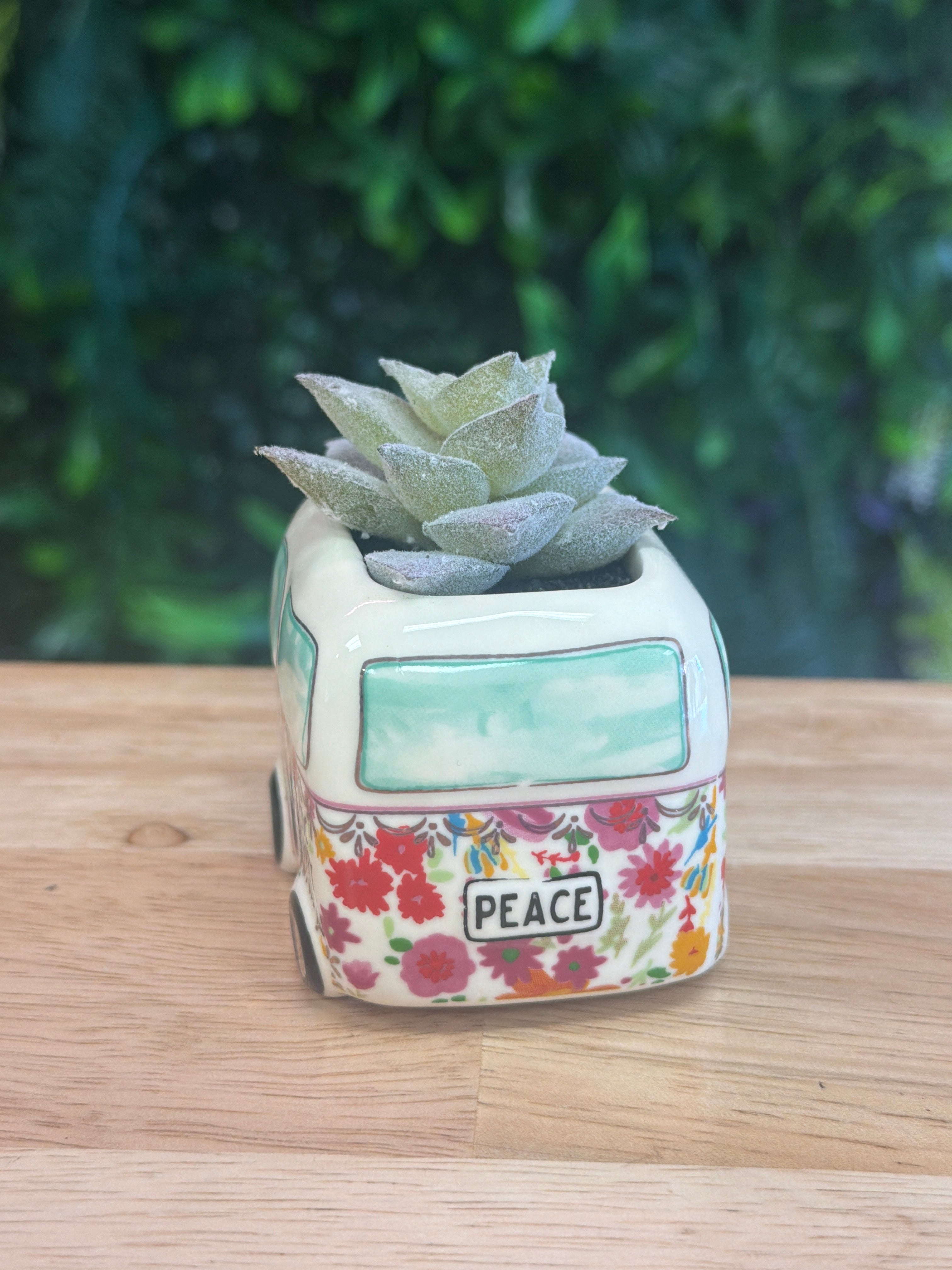 Faux Succulent Van
