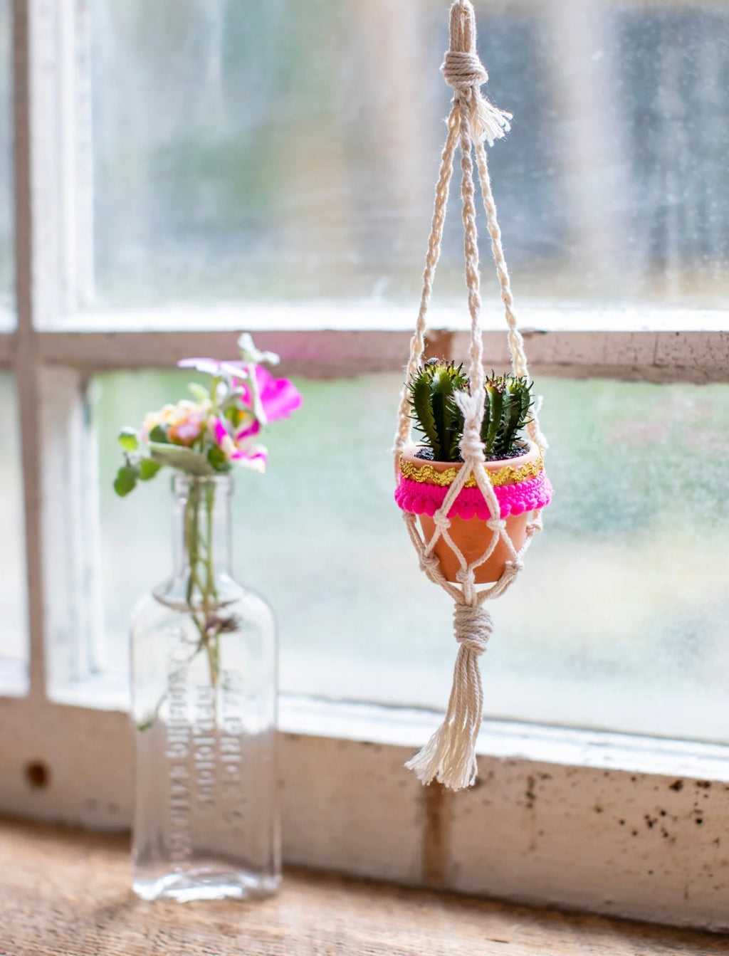 Macrame hanging car succulent